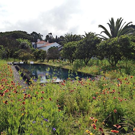 Vila Quinta Do Miguel Aldeia do Meco Exteriér fotografie