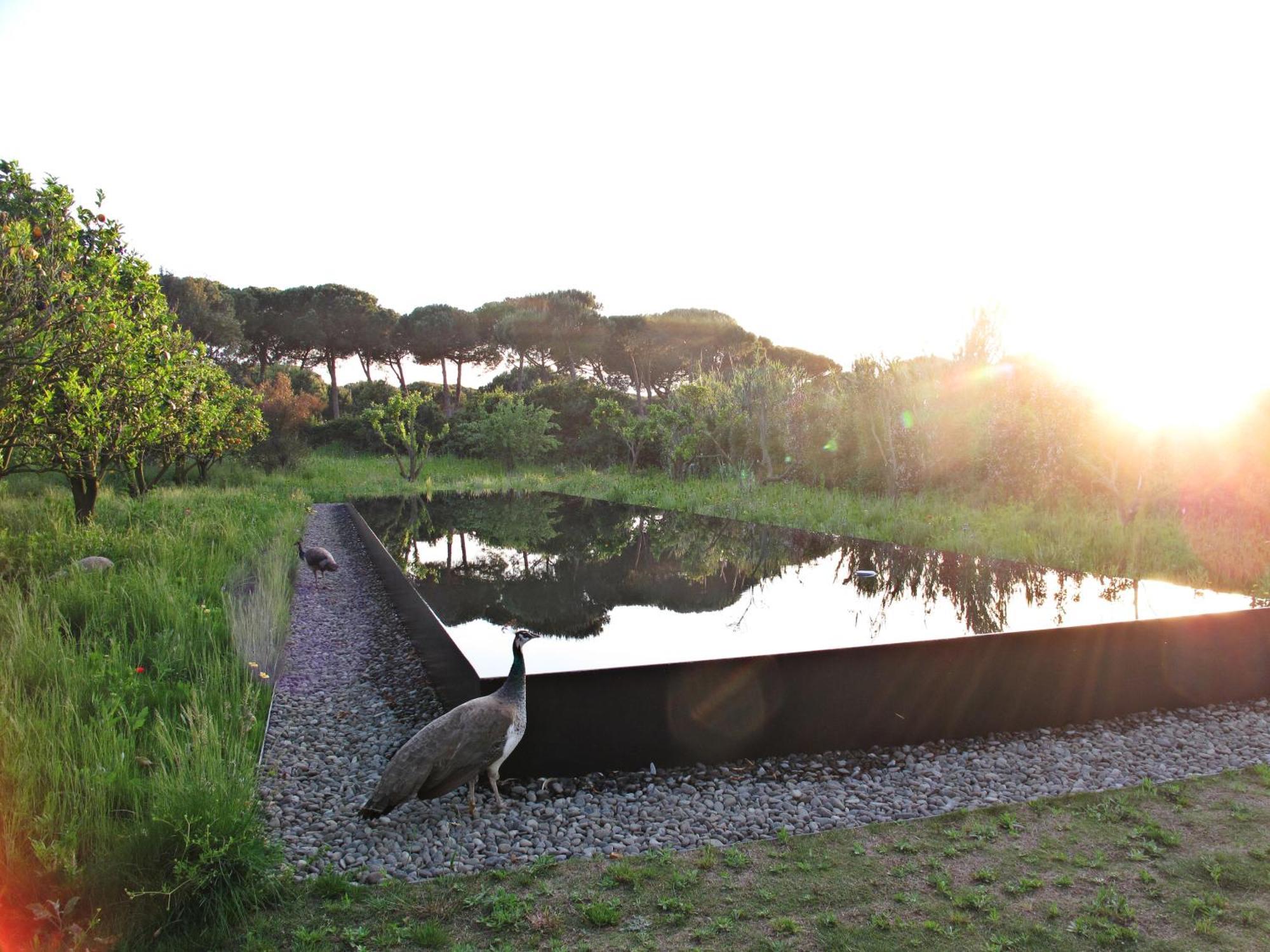 Vila Quinta Do Miguel Aldeia do Meco Exteriér fotografie