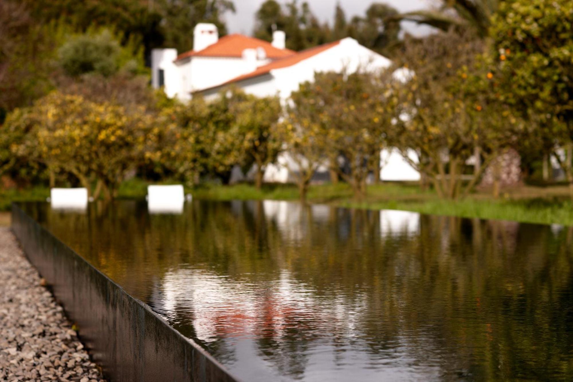 Vila Quinta Do Miguel Aldeia do Meco Exteriér fotografie