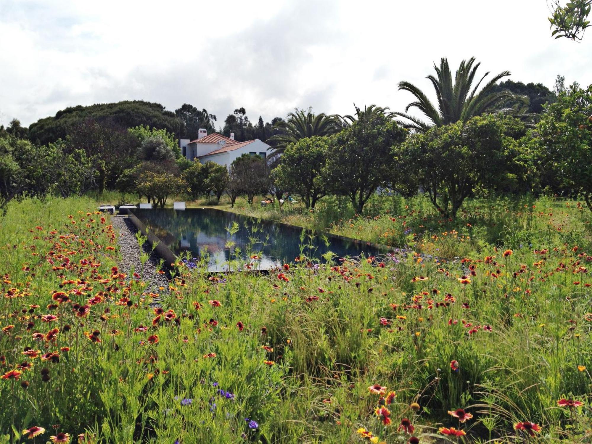 Vila Quinta Do Miguel Aldeia do Meco Exteriér fotografie