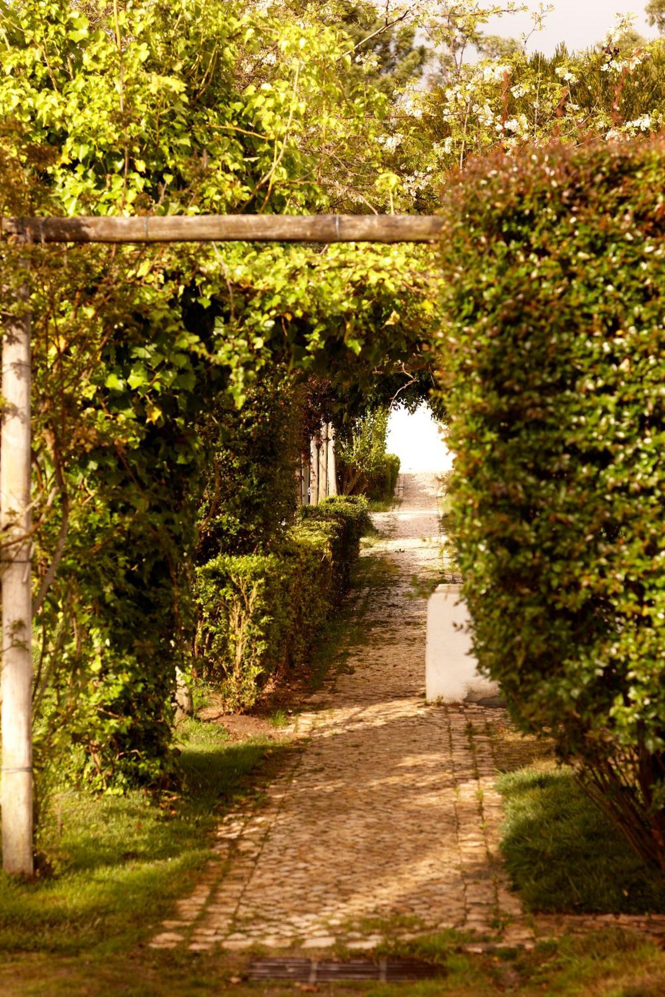 Vila Quinta Do Miguel Aldeia do Meco Exteriér fotografie