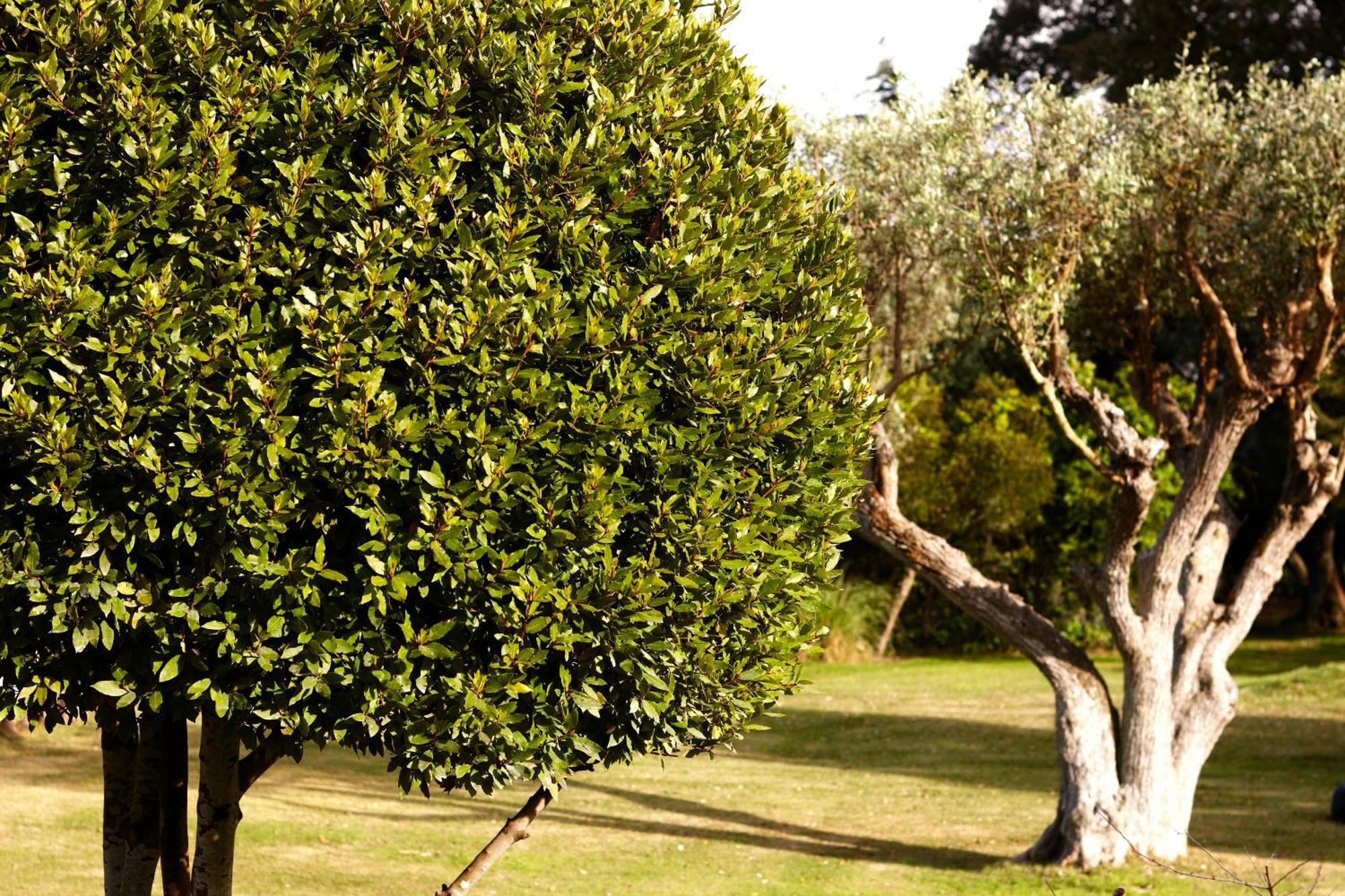 Vila Quinta Do Miguel Aldeia do Meco Exteriér fotografie