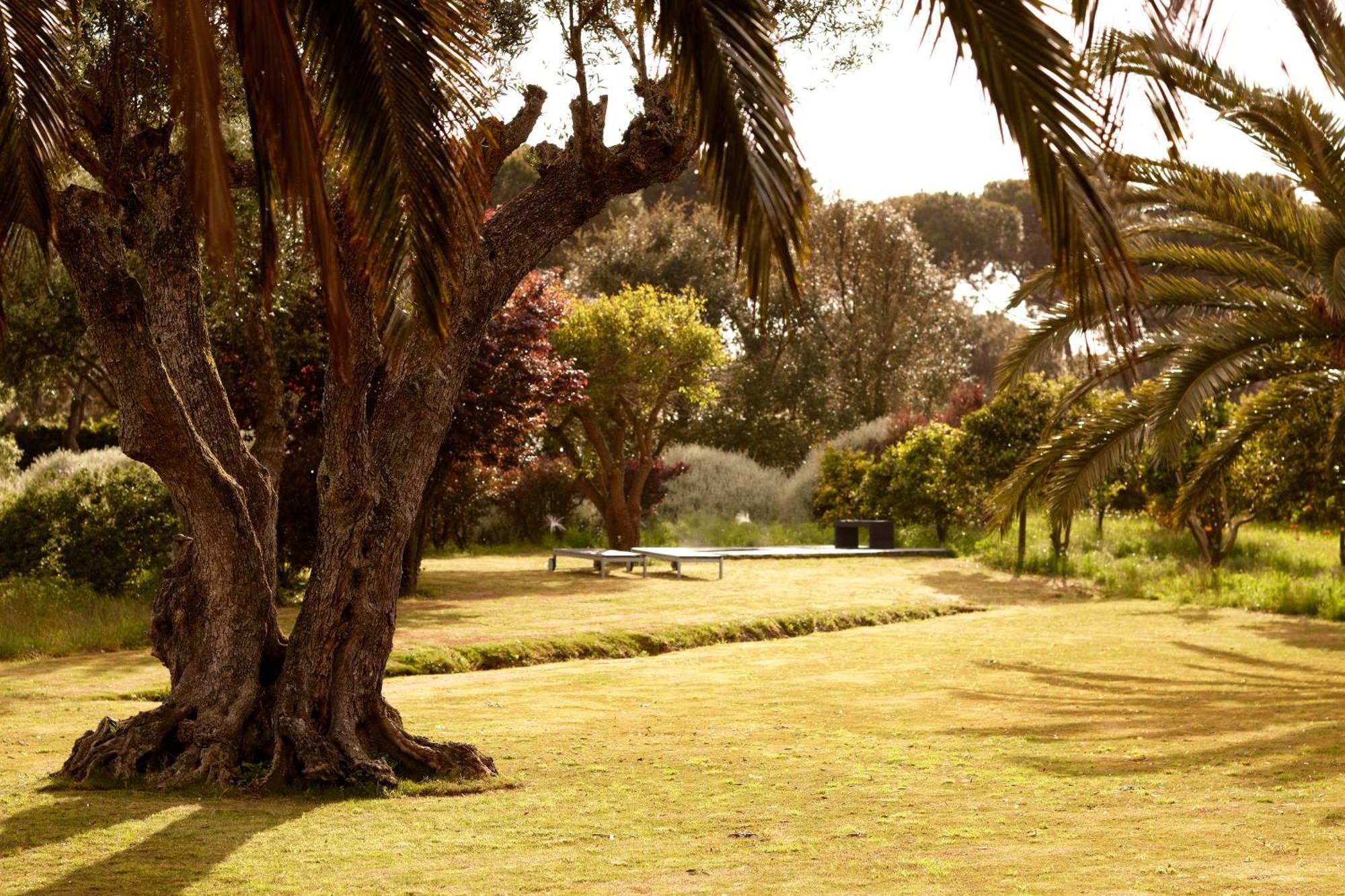 Vila Quinta Do Miguel Aldeia do Meco Exteriér fotografie