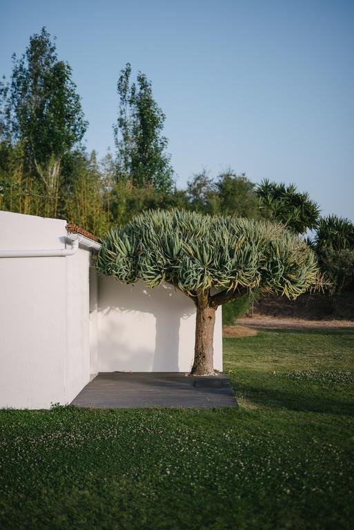 Vila Quinta Do Miguel Aldeia do Meco Exteriér fotografie